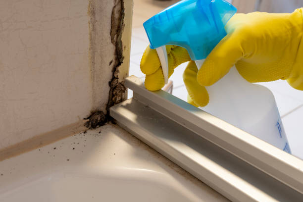 Best Residential Mold Removal  in Ellerslie, GA