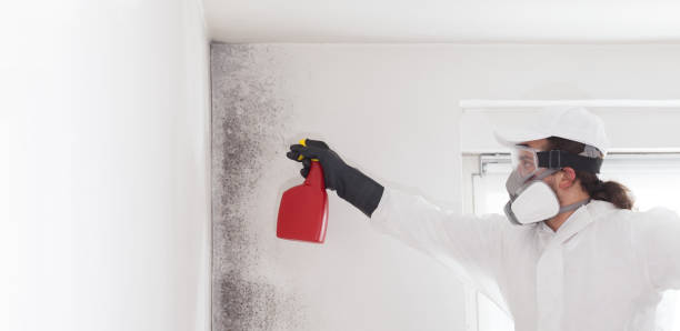Best Mold Testing  in Ellerslie, GA