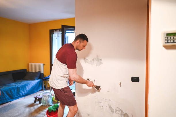 Best Mold Removal Company Near Me  in Ellerslie, GA